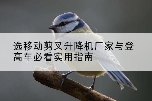 屏山电动升降机厂家-选移动剪叉升降机厂家与登高车必看实用指南