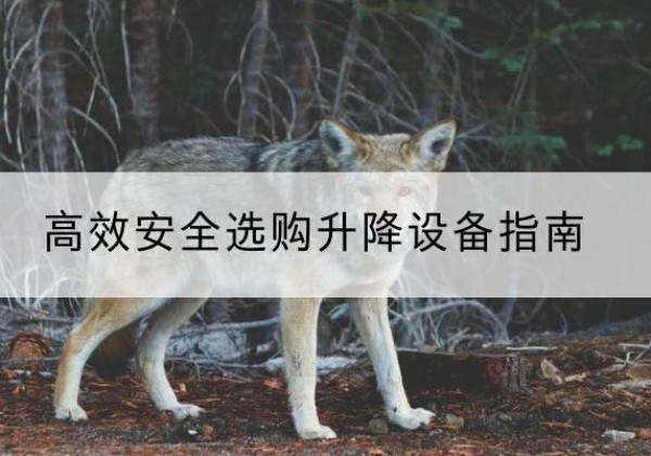 屏山升降货梯厂家推荐-*安全选购升降设备指南